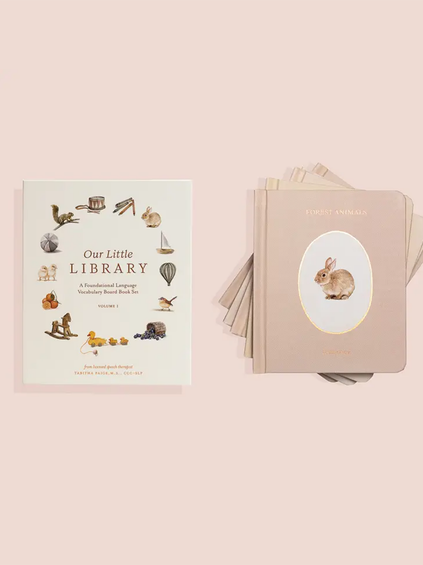Our Little Library